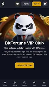 Discover the Exciting New Games Added to Bitfortune